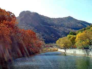 新澳天天开奖资料大全旅游团，林峰整容